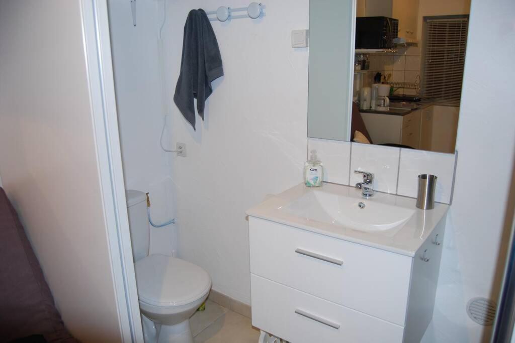 L'Atelier A 100 M De Tarbes Sud Villa Laloubere Exteriör bild